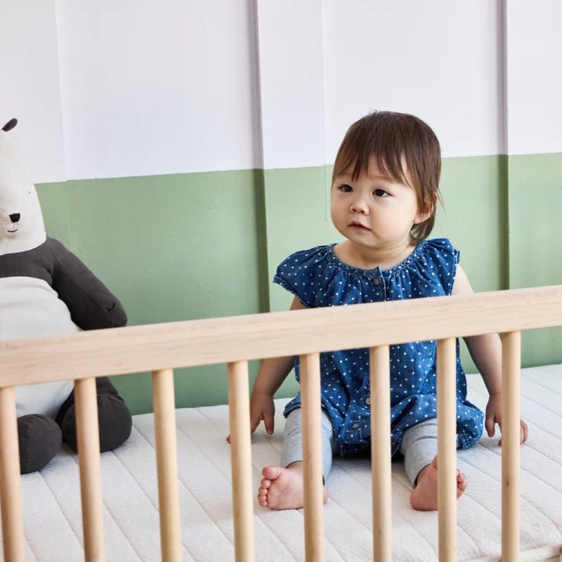 Eco Organic Crib Mattress - Baby Organic