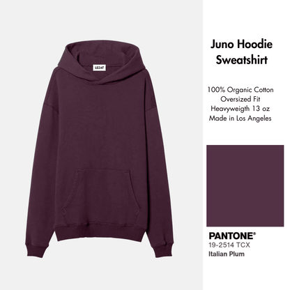 Juno Organic Cotton Oversized Heavyweight Hoodie Sweatshirt - Baby Organic