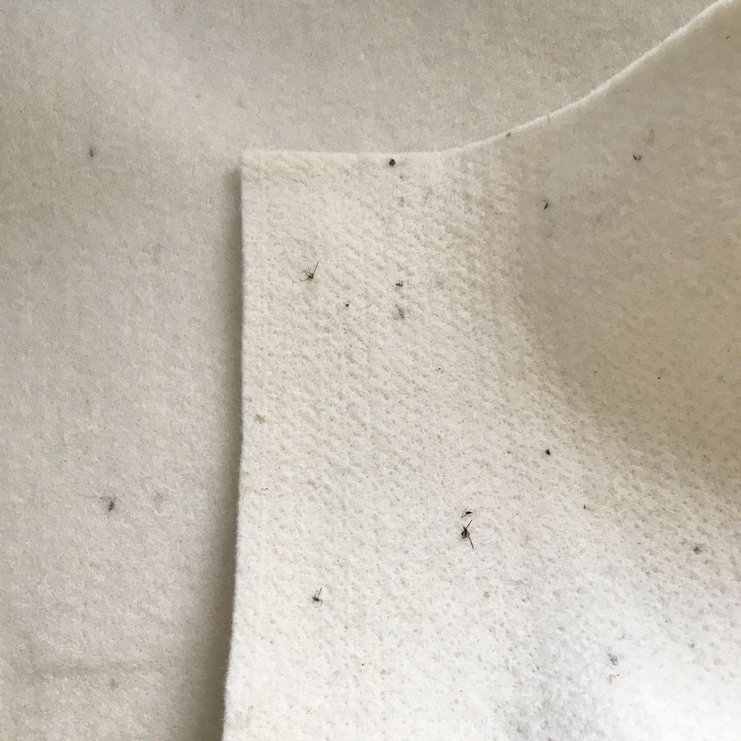 Organic Wool Mattress Protection Pad - Baby Organic